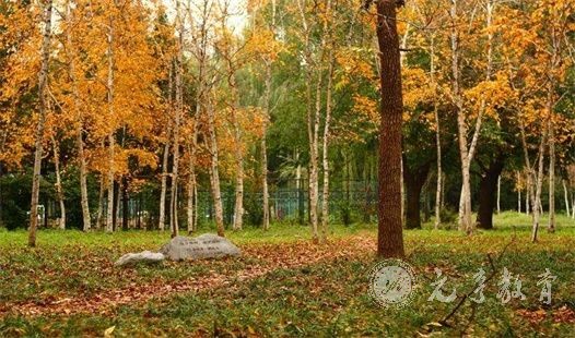 2022年西南财经大学硕士研究生招生考试时间安排 2022年西南财经大学硕士研究生招生考试时间安排