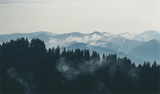 自考成绩一般什么时候出来？
