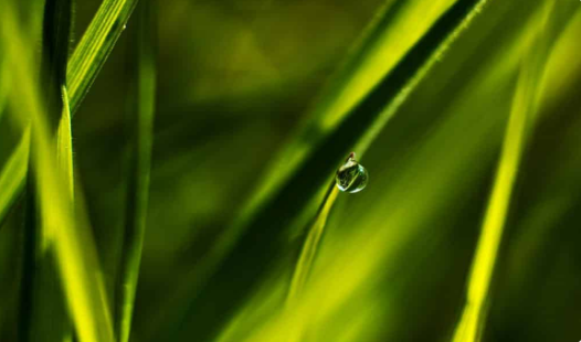 成都远程网络教育报名条件及资料