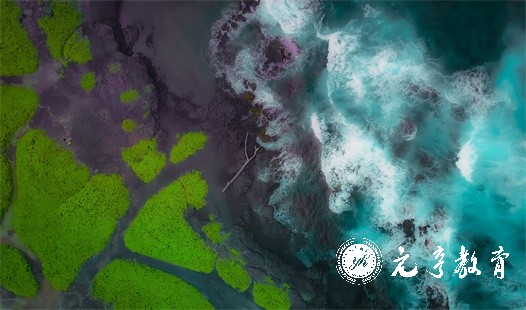 成人高考报名时间公布了吗