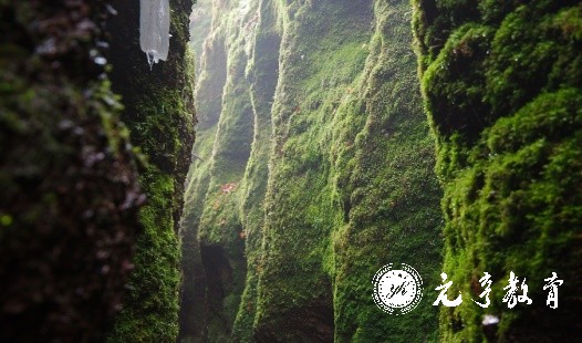 微信截图_20220415134918.JPG