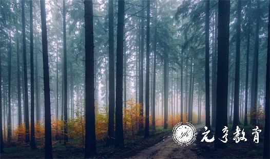 网络教育统考考试没过怎么办