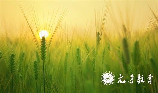 四川省自学考试有哪几种学习方式