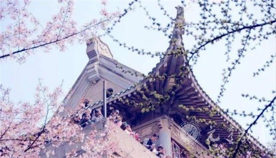 成人高考怎么备考
