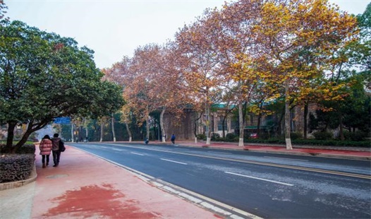 四川大学自考专科学费是多少