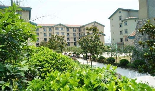 国家开放大学免考条件是什么