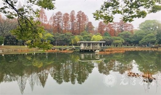 自考需不需要报班？需要根据自身情况决定