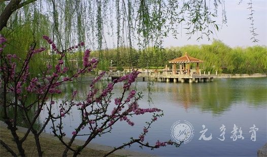 同等学力申硕考试一般安排在什么时候？