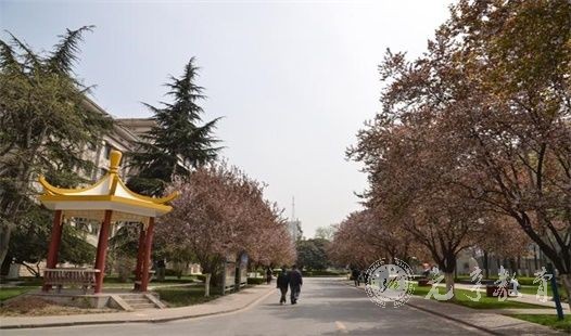 成考有什么条件可以免试入学