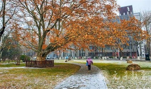 2022年四川师范大学硕士研究生招生考试时间安排