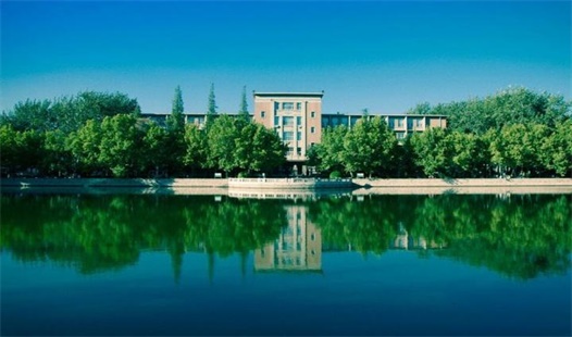 四川成考本科有学士学位吗|申请条件是什么