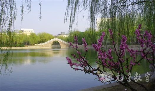 盐亭开放大学本科怎么报名|报名费用是多少