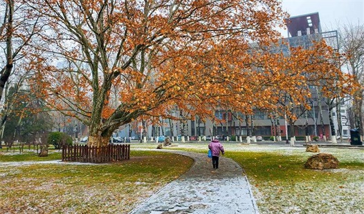 成人高考可以报几个学校|入学后还能换专业吗
