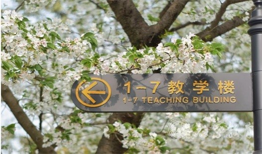 成都中医药大学成人高考报名条件