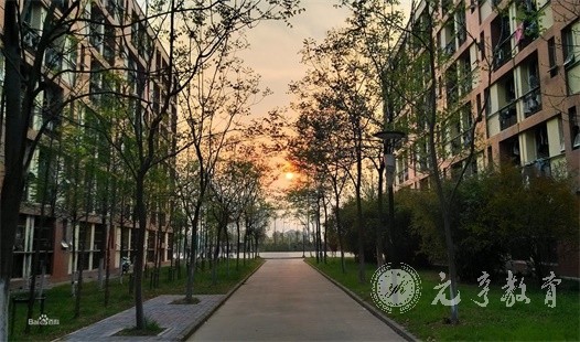 成人高考本科学位证书有什么用