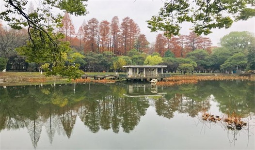 底子不好如何通过四川成考|成考难吗